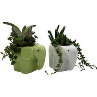 Horty Girl - Elephant Ceramic Planter 3 Inch, 1 Each