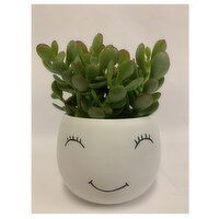 Horty Girl - Ceramic Smiling Pot With Plant, 4.5 Each