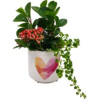 Horty Girl - White Ceramic With Heart Plant in Pot, 1 Each