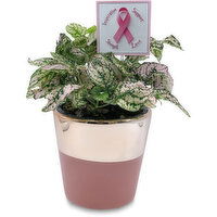 2 - Tone Pink Ceramic Plant 4.5 Inch, 1 Each