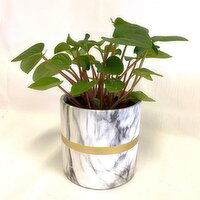 Horty Girl - Marble Look Ceramic w/ Gold Band & Plant, 1 Each