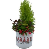 Horty Girl - White Ceramic Pot With Plant, 1 Each