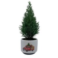 Horty Girl - White Seasonal Ceramic Potted Plant, 1 Each
