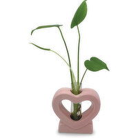 Potted Plant - Pink Ceramic Heart Pot, 5.75 Inch, 1 Each