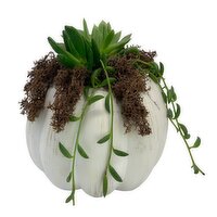 Horty Girl - Ceramic Pumpkin Plant Garden, 1 Each