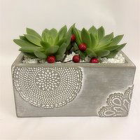 Horty Girl - Cement Pot Succulent, 1 Each