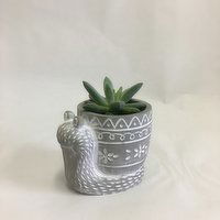 Horty Girl - Cement Snail with Succulent, 1 Each