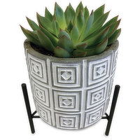 Horty Girl - Cement Pot on Metal Stand with Succulent, 1 Each