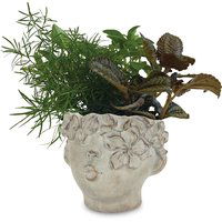 Horty Girl - Tropical in Cement Kissing Face Planter, 1 Each