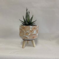 Horty Girl - Ceramic Terracotta Wide Leg Stand, 1 Each