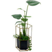 Horty Girl - Cement w/ Wire Frame Premium Plant 7Inch, 1 Each