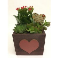 Succulent - Wood Planter, 5 Each