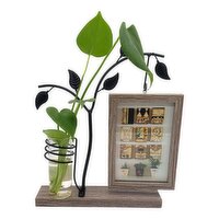Horty Girl - Photo Frame And Glass Tube With Plant, 1 Each