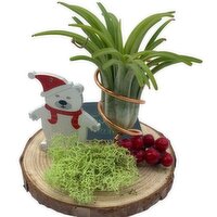 Horty Girl - Wood Disk Seasonal Airplant, 1 Each