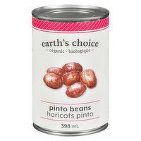 Earths Choice - Beans Pinto Organic, 398 Millilitre