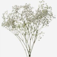 Gypsophila - 3 Stem, Baby's Breath, 1 Each