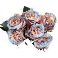 Roses - Titanic Sweet Tinted, 6 Stem, 1 Each