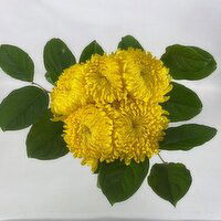 Yellow - Disbud Bunch, 1 Each