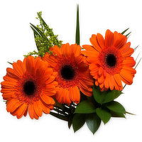 Gerbera - Germini Bouquet, 1 Each