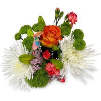 Toucan - Bouquet, 1 Each