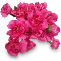 BUnch - Mini Carnations, 1 Each