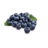 Driscoll - Blueberries, Fresh, 510 Gram