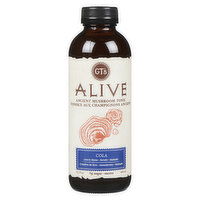 GT's - Alive Mushroom Tea Cola, 480 Millilitre