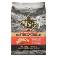 NaturesRecipe - Grain Free Natural Dog Food All Ages Salmon, Sweet Potato & Pumpkin Recipe, 1 Each