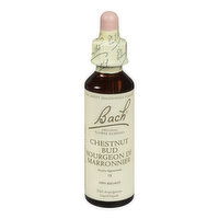 Bach - Chestnut Bud, 20 Millilitre