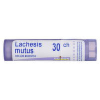 Boiron - Boiron Lachesis Mutus 30CH, 4 Gram