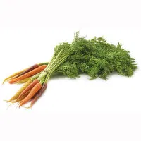 Carrots - Organic, Rainbow Bunched, 1 Each