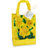Mixed Daffodills - Narcissus Bulbs In Tote Bag 30's, 1 Each