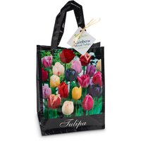 Rainbow Mixed Tulip - Bulbs In Tote Bag 30's, 1 Each