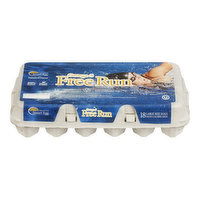 Nature's Farm - Eggs Omega 3 Free Run Large, 18 Each