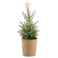 Tree - Natural Christmas, 1 Each