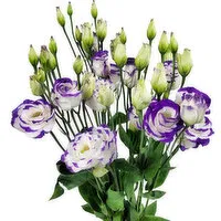 Lisianthus - 5 Per Bunch