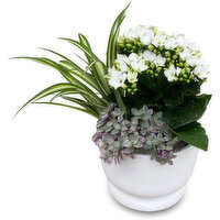 European Garden - Flowering Ceramic Planter, 1 Each
