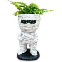 Potted Plants - Mummy w/Tropical 2In, 1 Each