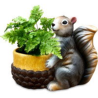 Potted Plants - Squirrel with Acorn and Fern 2 Inch, 1 Each