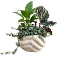 Potted Plant - Holding Hands Garden 5In, 1 Each