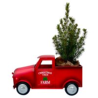 Christmas - Truck With Tree 4 Inch, Assorted, 1 Each