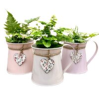 Heart Charm - Pitcher, 4 Inch, 1 Each