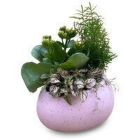 Easter - Speckled Egg Gardens Pot, 4 Inch, 1 Each