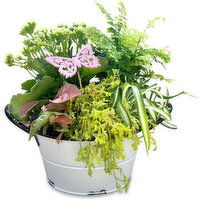 Planter - Butterfly Stencil Garden, 8 Inch, 1 Each