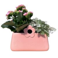 Tropicals - Flower Clutch, 8 Inch, 1 Each