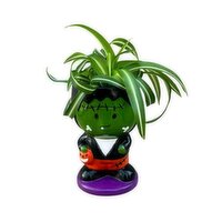 Potted Plant - Frankenstein with Tropical Plant, 2 inch, 1 Each