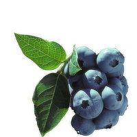 Bush - Blueberry Chippewa, 1 Each