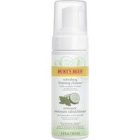 Burt's Bees - Gentle Foaming Cleanser, 141.9 Millilitre