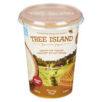 Tree Island - Cream Top Yogurt Honey 3.5% M.F.