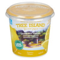 Tree Island - Yogurt Greek Lemon, 325 Gram